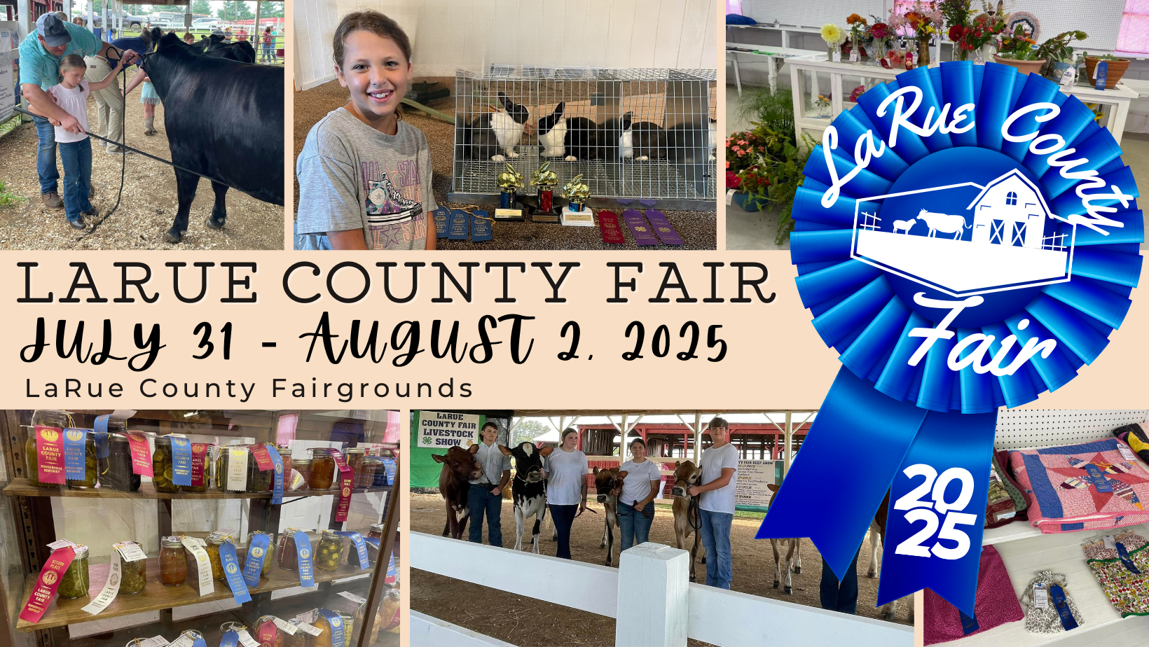 blue ribbon 6 blocks with fair pictures with ribbon kids cows and rabbits