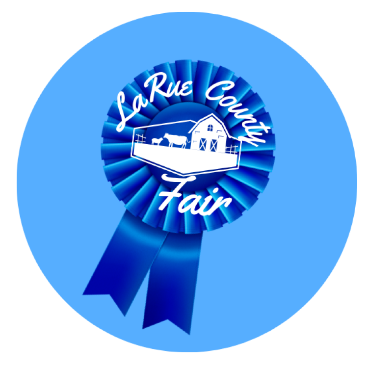  blue fair ribbon