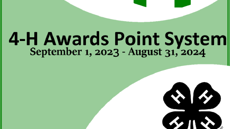 green with white semi circles  - awards points cover